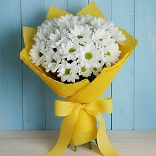Букет цветов из:  Хризантемы в Октябрьском Ставропольского края